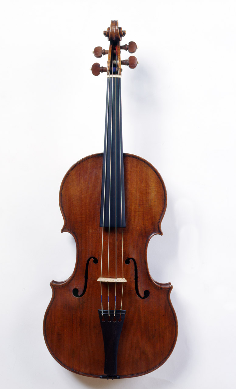 Amati, Viola