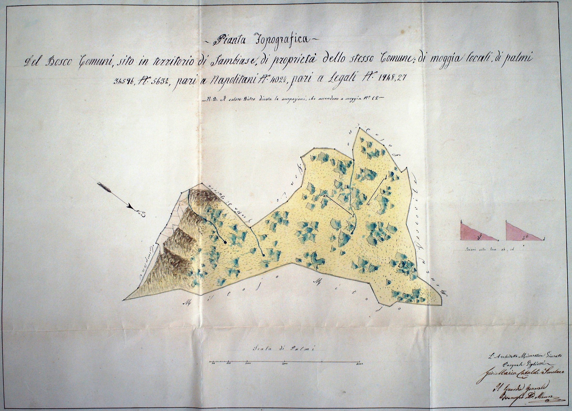 PIANTA TOPOGRAFICA DEL BOSCO DI COMUNI