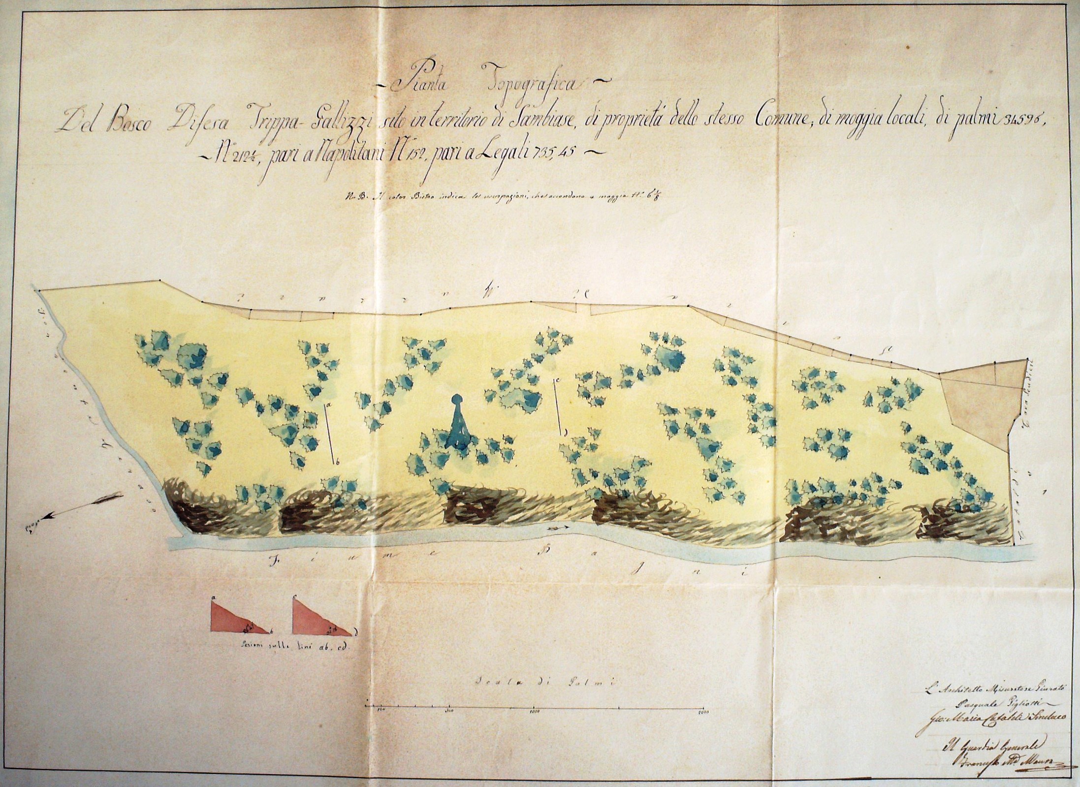 PIANTA TOPOGRAFICA DEL BOSCO DI DIFESA