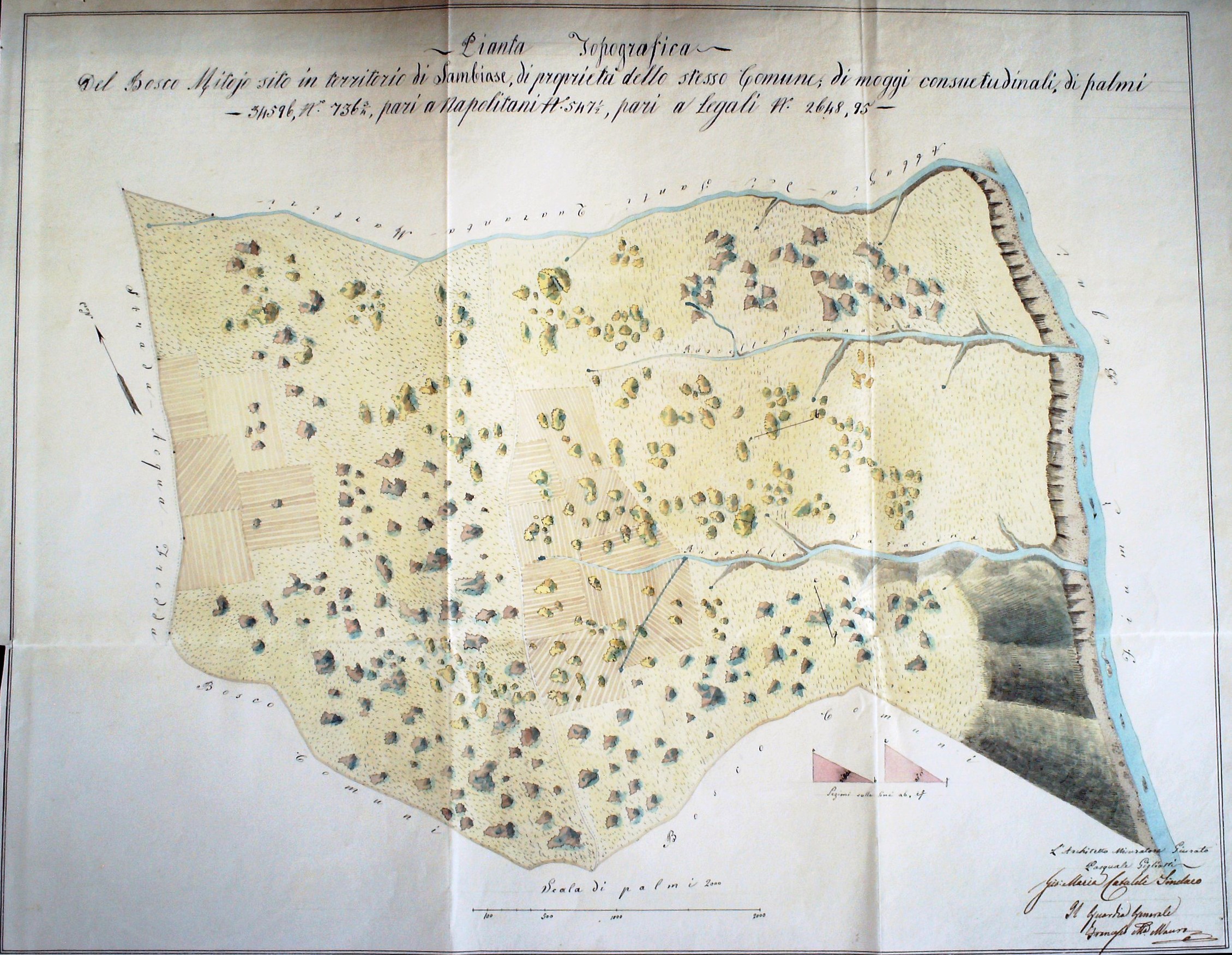 PIANTA TOPOGRAFICA DEL BOSCO DI MITOJO