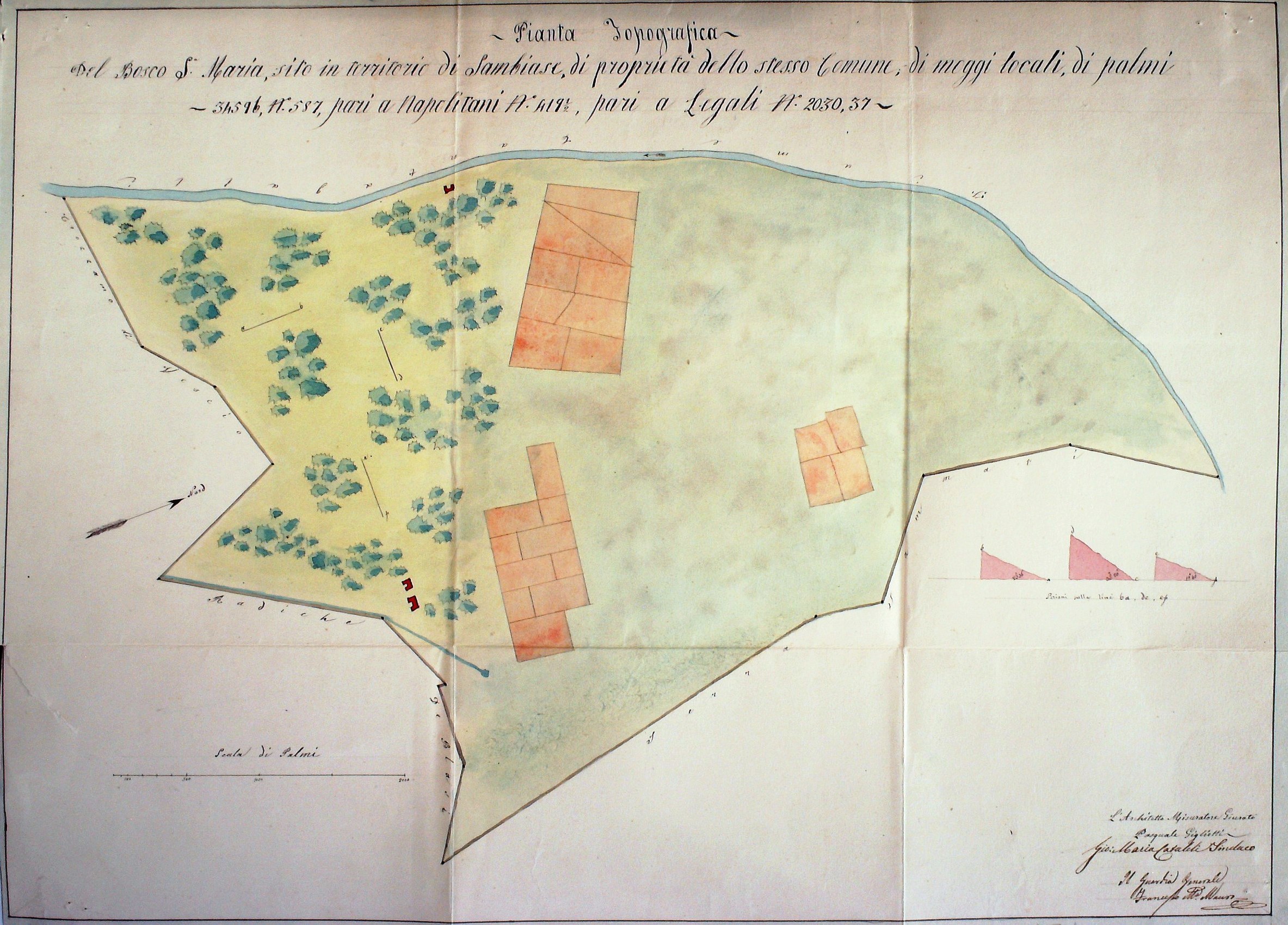 PIANTA TOPOGRAFICA DEL BOSCO DI SANTA MARIA