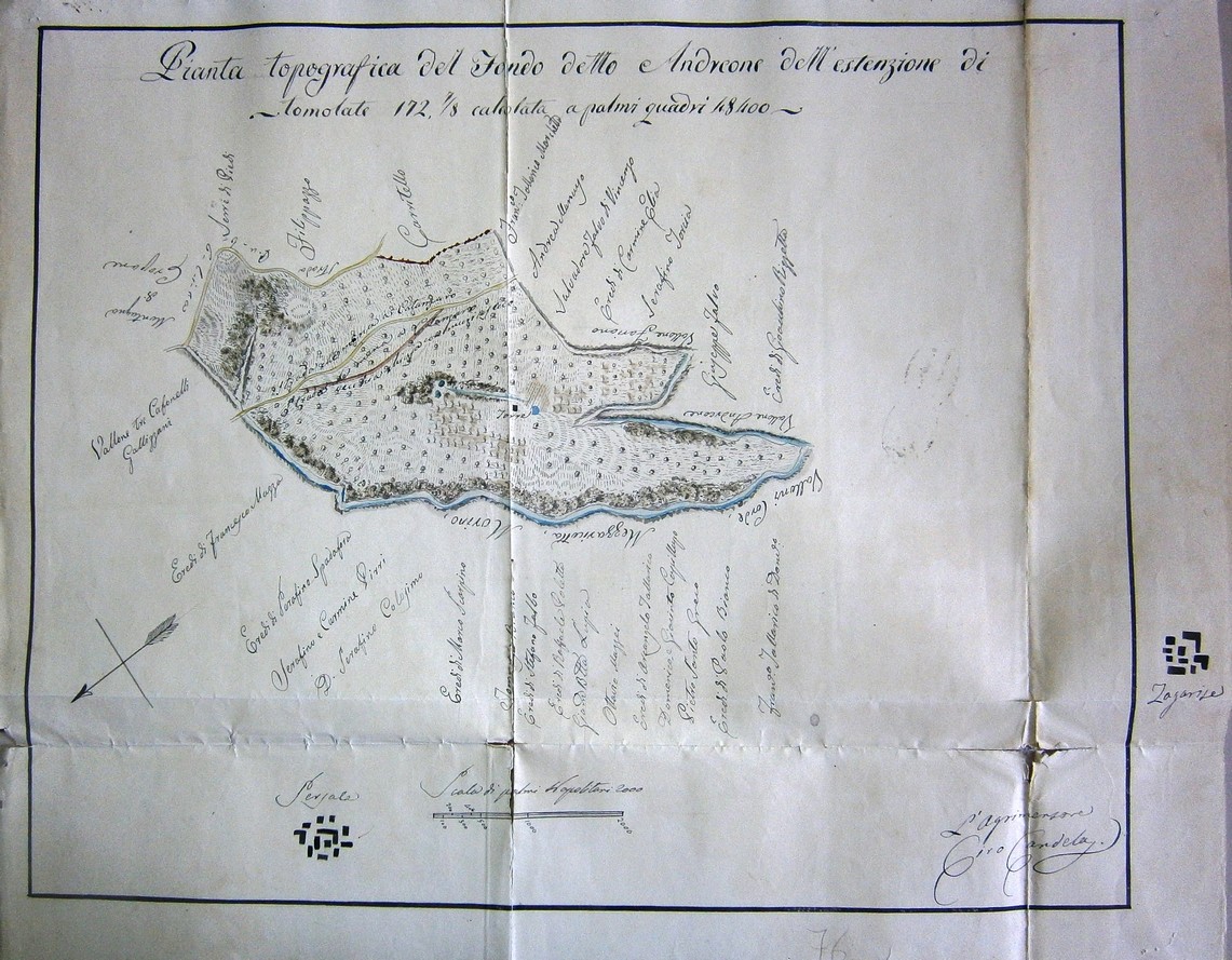 PIANTA TOPOGRAFICA DEL FONDO DETTO ANDREONE