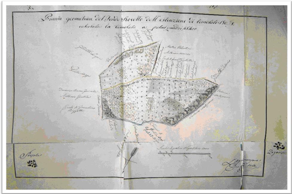 PIANTA GEOMETRICA DEL FONDO ROVETTO