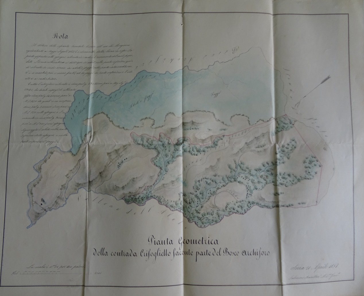 PIANTA GEOMETRICA DELLA CONTRADA CRIFOGLIETTO FACENTE PARTE DEL BOSCO ARCHIFORO