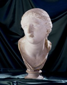 busto femminile