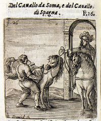 91.c.265-Del cavallo da Soma, e del Cavallo di Spagna.part.