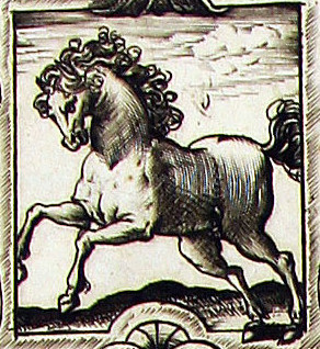 60.b.13-Cavallo