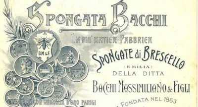 Spongata Bacchi