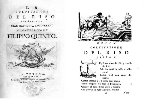 Giovanni Battista Spolverini, La coltivazione del riso, Verona 1758