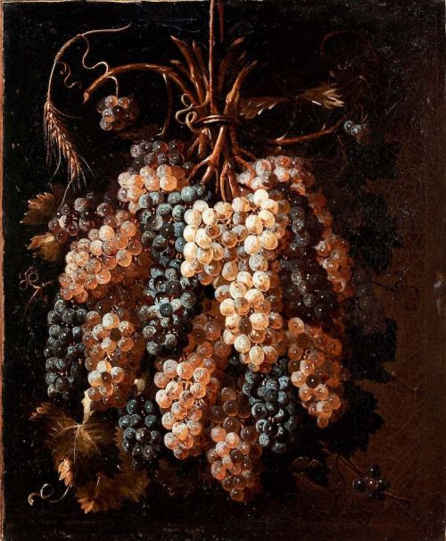 Antonio Gianlisi jr., Grappoli di uva e spiga di grano, ca. 1650 -  Galleria del Collegio Alberoni, Piacenza
