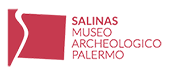 Logo-Salinas_P