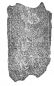 Stele Sion 10