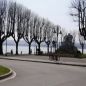 Varese